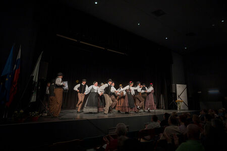 Maroltovo srečanje znova združilo koroške folklorne skupine (6)